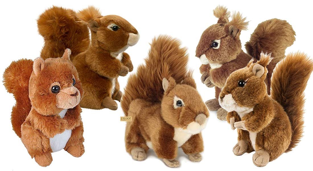 The Most Popular Squirrel Plush Toys